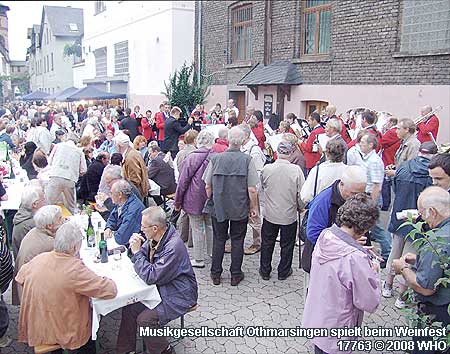 Musikverein-Ausflug Auftritt beim Weinfest